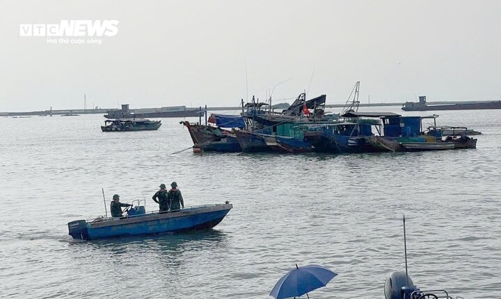 TRỰC TIẾP: Bão Yagi áp sát Quảng Ninh, mưa gió giật kinh khủng, cây đổ la liệt - Ảnh 50.