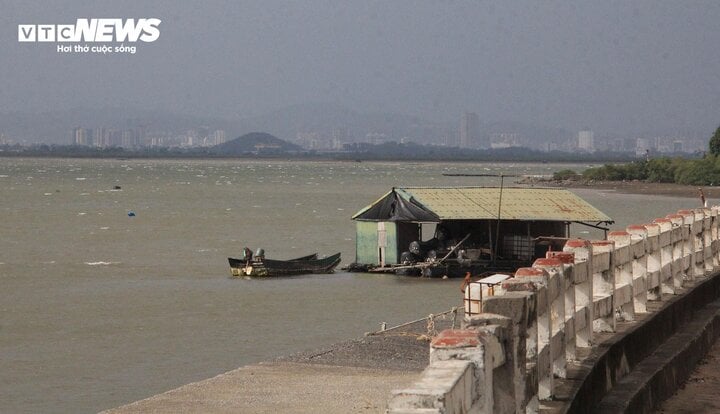 TRỰC TIẾP: Bão Yagi áp sát Quảng Ninh, mưa gió giật kinh khủng, cây đổ la liệt - Ảnh 44.