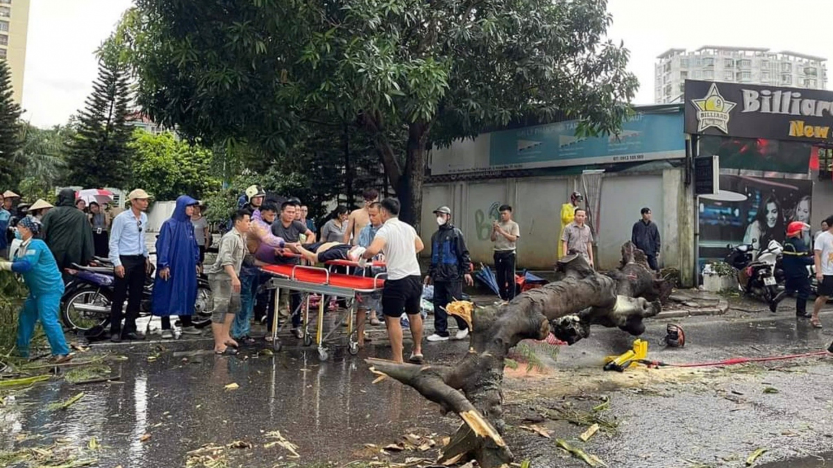 Ảnh hưởng bão số 3, Hà Nội có 1 người tử vong, 6 người bị thương do cây đổ - Ảnh 1.