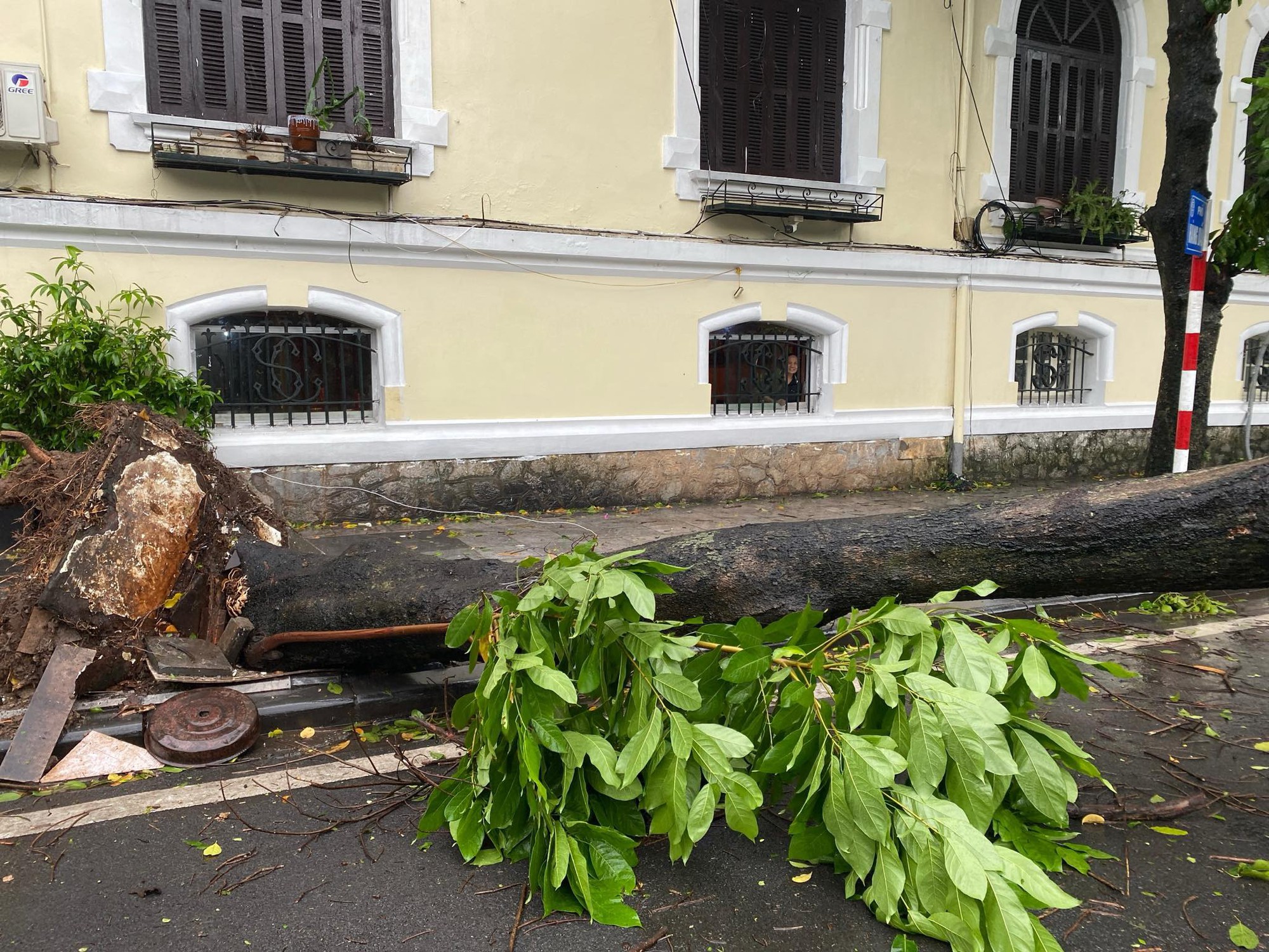 Hà Nội bắt đầu gió giật cực mạnh kèm mưa lớn do bão YAGI, người dân gồng mình lái xe về nhà- Ảnh 15.