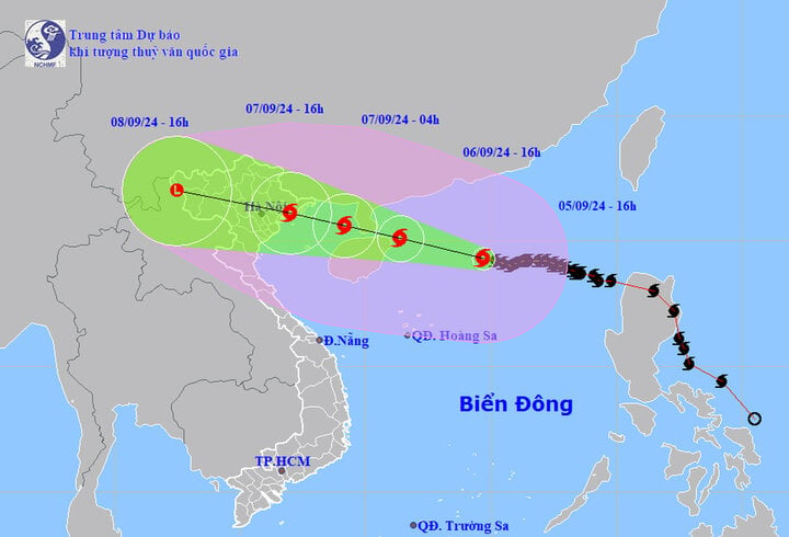 TRỰC TIẾP: Bão Yagi áp sát Quảng Ninh, mưa gió giật kinh khủng, cây đổ la liệt - Ảnh 83.