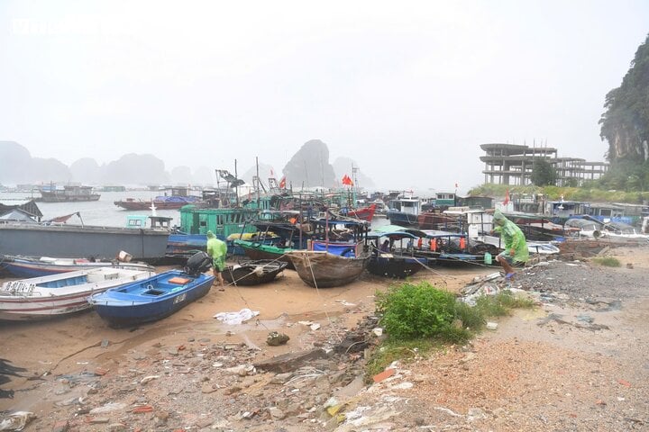 TRỰC TIẾP: Bão Yagi áp sát Quảng Ninh, mưa gió giật kinh khủng, cây đổ la liệt - Ảnh 11.