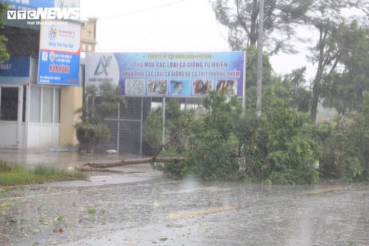 TRỰC TIẾP: Bão Yagi áp sát Quảng Ninh, mưa gió giật kinh khủng, cây đổ la liệt - Ảnh 5.