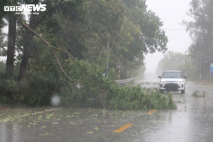 TRỰC TIẾP: Bão Yagi áp sát Quảng Ninh, mưa gió giật kinh khủng, cây đổ la liệt - Ảnh 7.