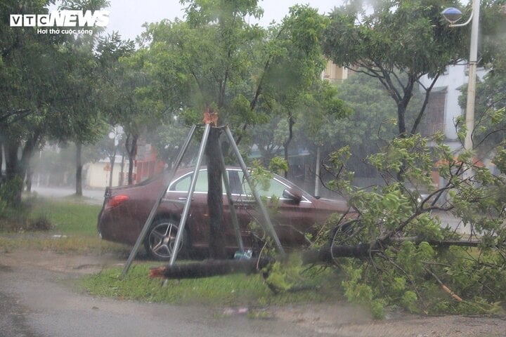 TRỰC TIẾP: Bão Yagi áp sát Quảng Ninh, mưa gió giật kinh khủng, cây đổ la liệt - Ảnh 8.