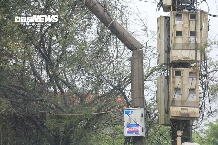 Siêu bão Yagi quật ngã đường dây, hàng trăm nghìn người chịu cảnh mất điện - Ảnh 1.