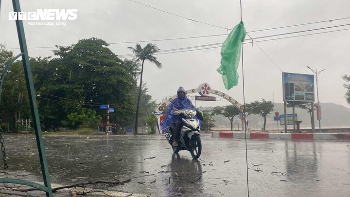 TRỰC TIẾP: Bão Yagi áp sát Quảng Ninh, mưa gió giật kinh khủng, cây đổ la liệt - Ảnh 4.