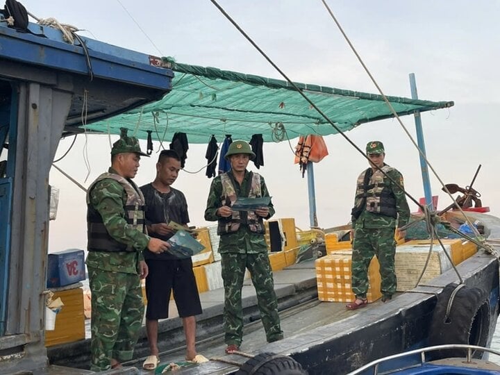 TRỰC TIẾP: Bão Yagi áp sát Quảng Ninh, mưa gió giật kinh khủng, cây đổ la liệt - Ảnh 38.