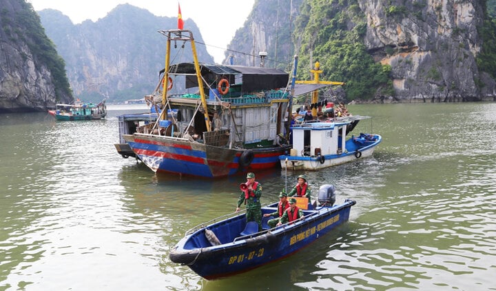 TRỰC TIẾP: Bão Yagi áp sát Quảng Ninh, mưa gió giật kinh khủng, cây đổ la liệt - Ảnh 81.