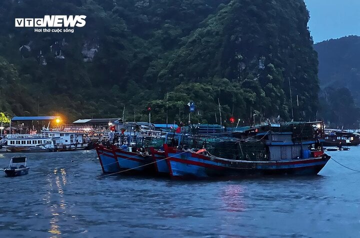 TRỰC TIẾP: Bão Yagi áp sát Quảng Ninh, mưa gió giật kinh khủng, cây đổ la liệt - Ảnh 23.