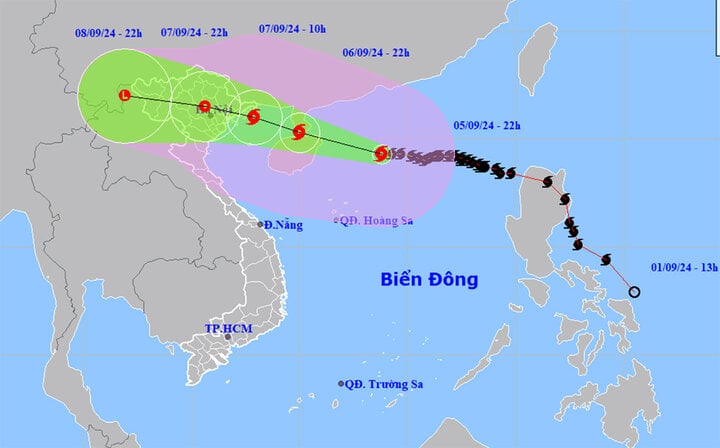 TRỰC TIẾP: Bão Yagi áp sát Quảng Ninh, mưa gió giật kinh khủng, cây đổ la liệt - Ảnh 72.