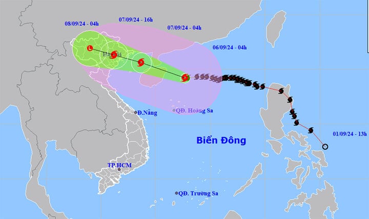 TRỰC TIẾP: Bão Yagi áp sát Quảng Ninh, mưa gió giật kinh khủng, cây đổ la liệt - Ảnh 71.