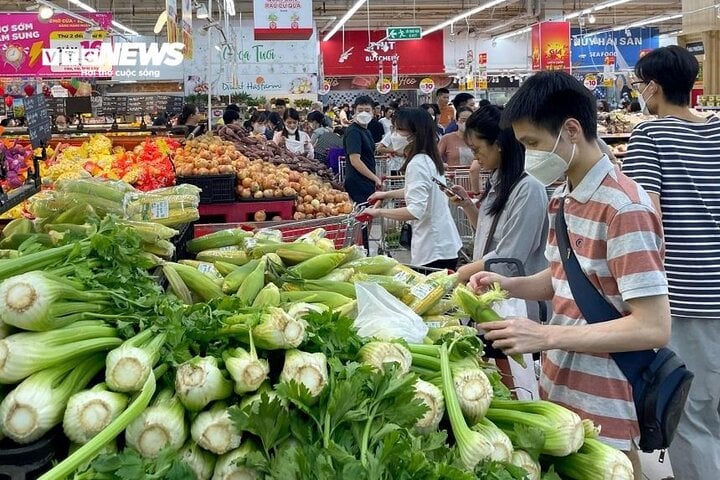 TRỰC TIẾP: Bão Yagi áp sát Quảng Ninh, mưa gió giật kinh khủng, cây đổ la liệt - Ảnh 68.