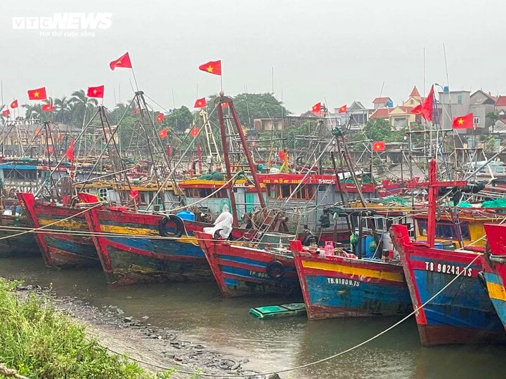 TRỰC TIẾP: Bão Yagi áp sát Quảng Ninh, mưa gió giật kinh khủng, cây đổ la liệt - Ảnh 18.