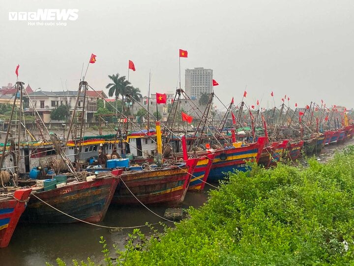 TRỰC TIẾP: Bão Yagi áp sát Quảng Ninh, mưa gió giật kinh khủng, cây đổ la liệt - Ảnh 17.