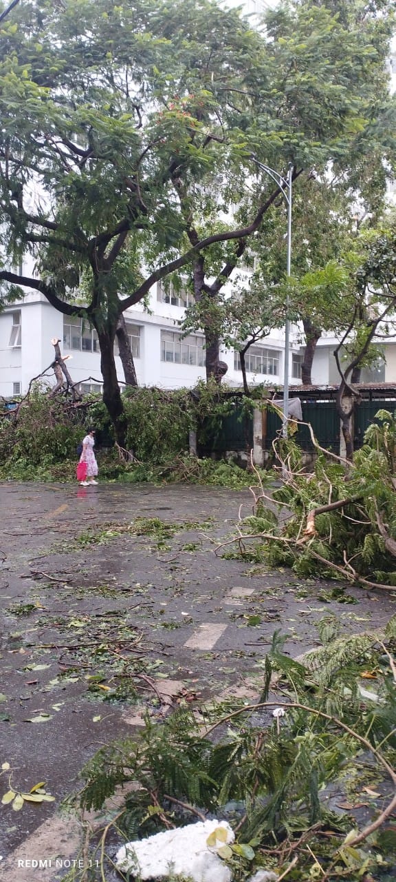 Nhiều trường đại học tại Hà Nội bị hư hại sau &quot;siêu bão cuồng phong&quot; Yagi: Nơi cây đổ, nơi biển tên trường xiêu vẹo- Ảnh 12.