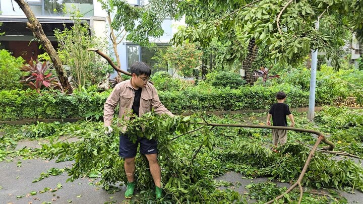 NSND Xuân Bắc cùng 2 con trai hỗ trợ dọn cây đổ trên phố sau bão Yagi - Ảnh 4.