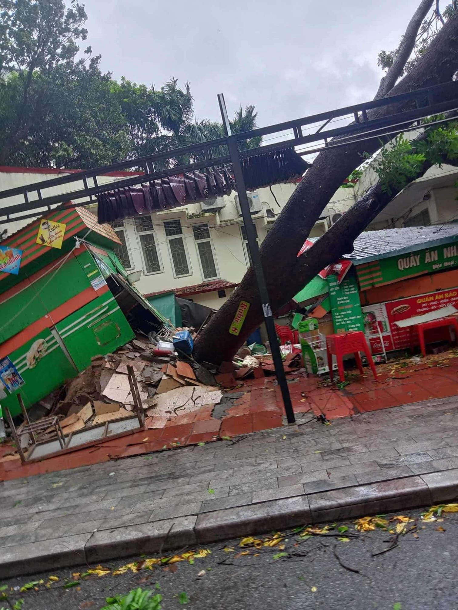 Nhiều trường đại học tại Hà Nội bị hư hại sau &quot;siêu bão cuồng phong&quot; Yagi: Nơi cây đổ, nơi biển tên trường xiêu vẹo- Ảnh 4.