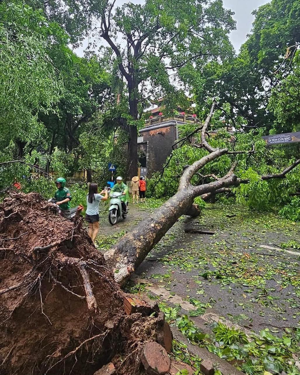 Con đường của những "nàng thơ" ở Hà Nội tan hoang sau bão Yagi- Ảnh 8.