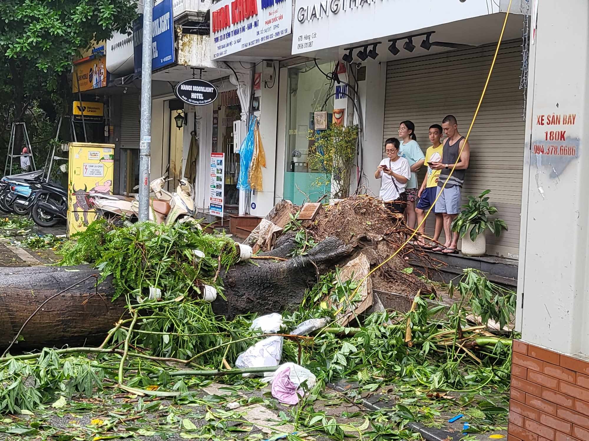 Tiếc nuối những &quot;cụ cây&quot; trăm tuổi bật gốc trong bão số 3 trên phố cổ Hà Nội- Ảnh 5.