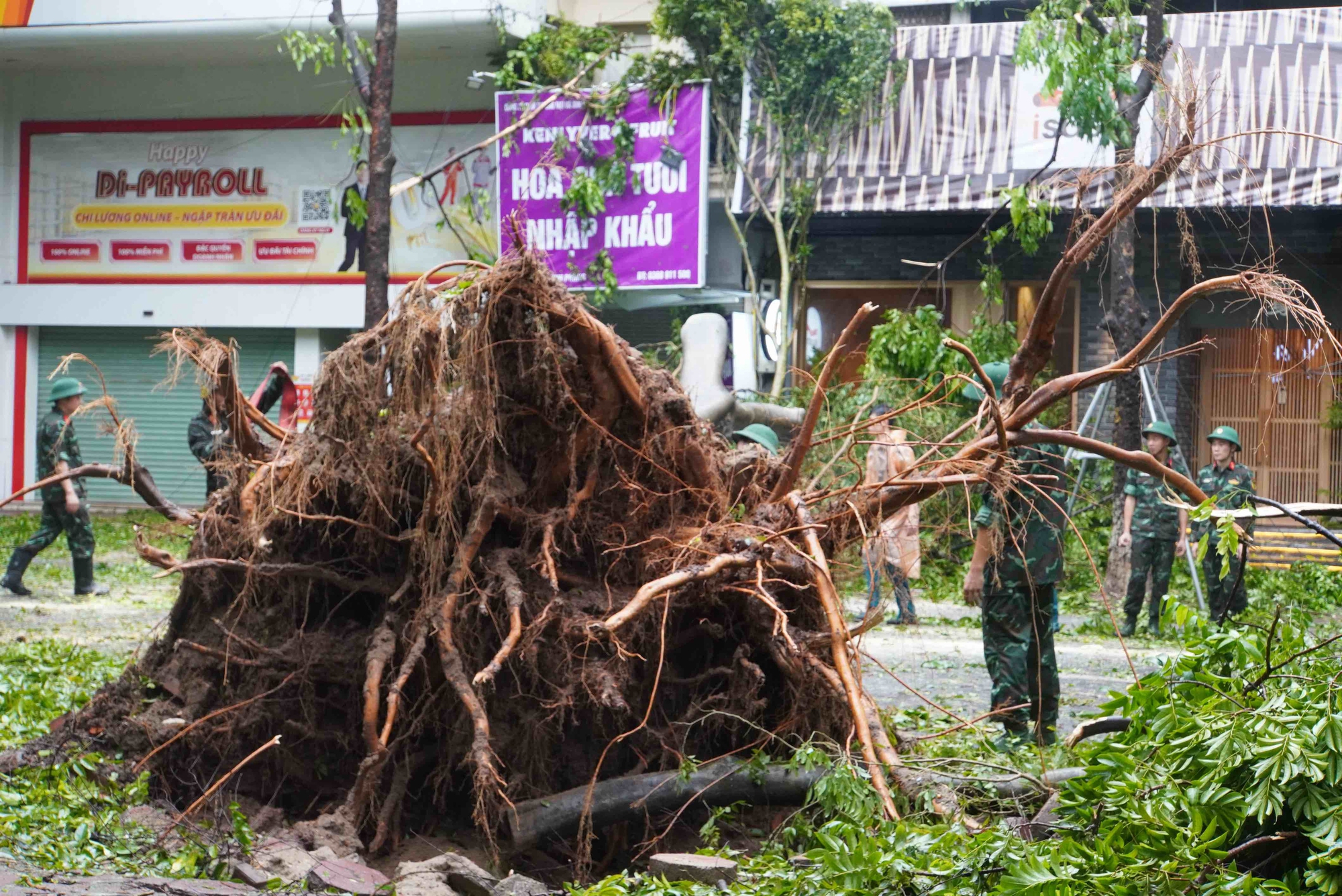 Tiếc nuối những &quot;cụ cây&quot; trăm tuổi bật gốc trong bão số 3 trên phố cổ Hà Nội- Ảnh 17.