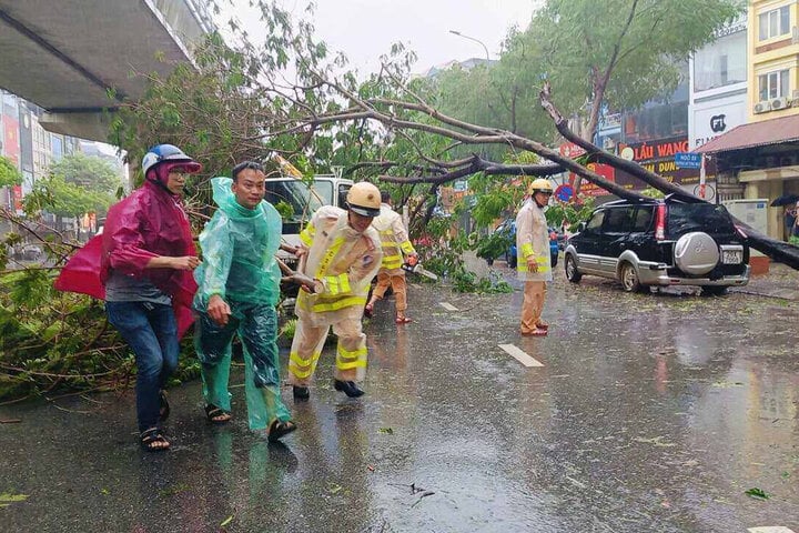 Hà Nội: 3 người chết, 8 người bị thương, gần 2.500 cây đổ do bão Yagi - Ảnh 4.