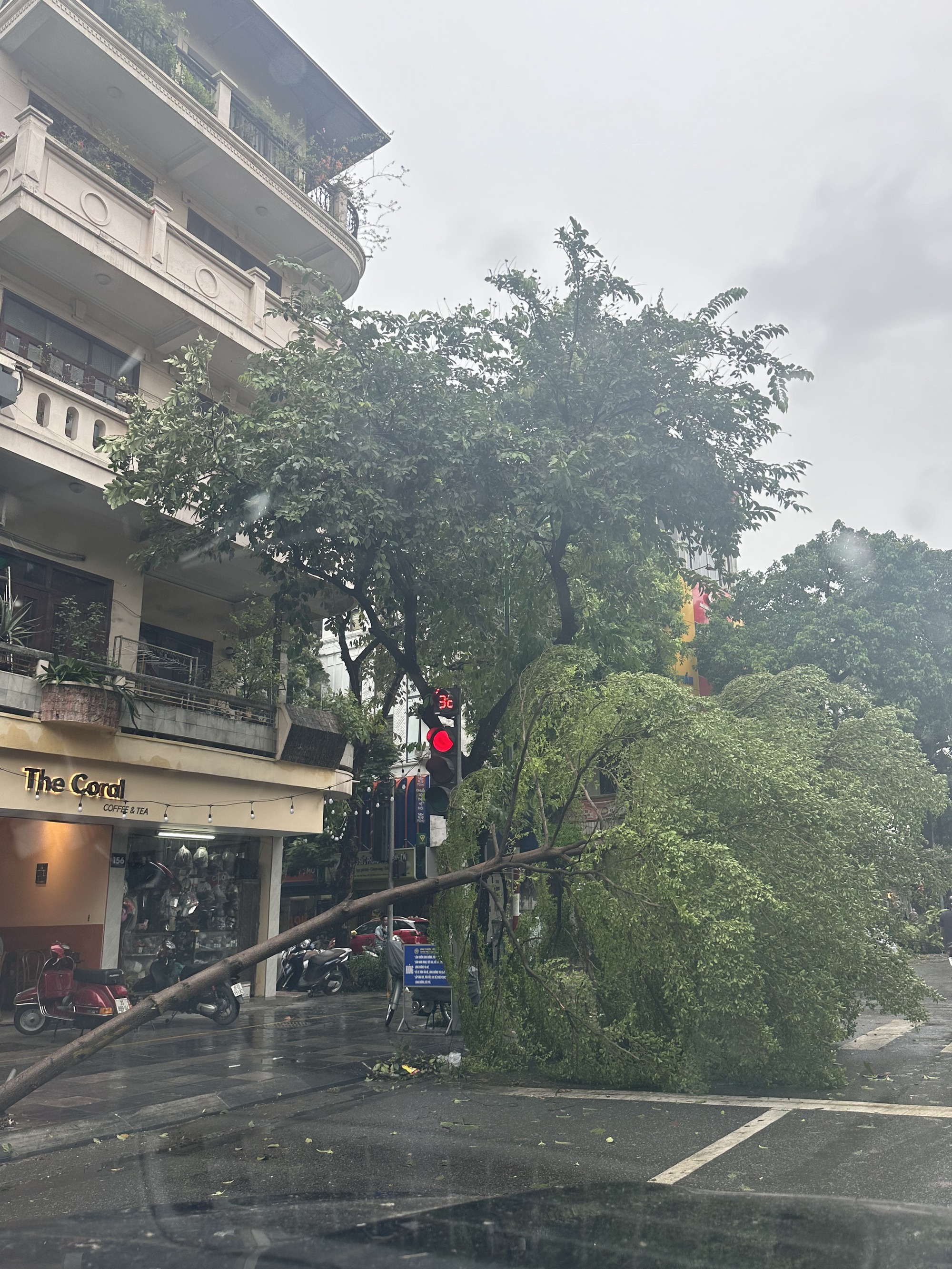 Người dân Hà Nội thẫn thờ trước khung cảnh buổi sáng của Thủ đô sau đêm bão Yagi quần thảo- Ảnh 20.