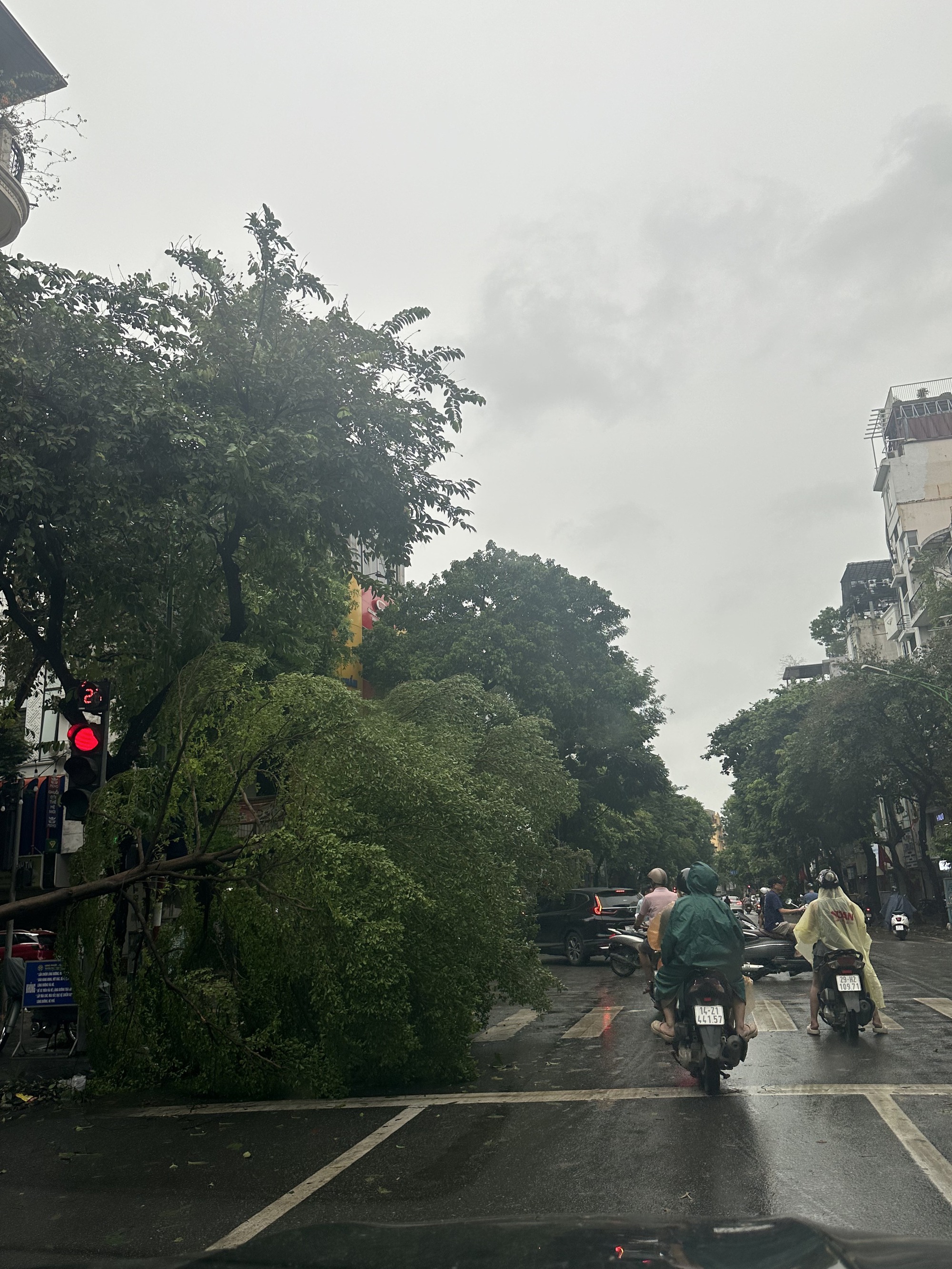 Người dân Hà Nội thẫn thờ trước khung cảnh buổi sáng của Thủ đô sau đêm bão Yagi quần thảo- Ảnh 19.