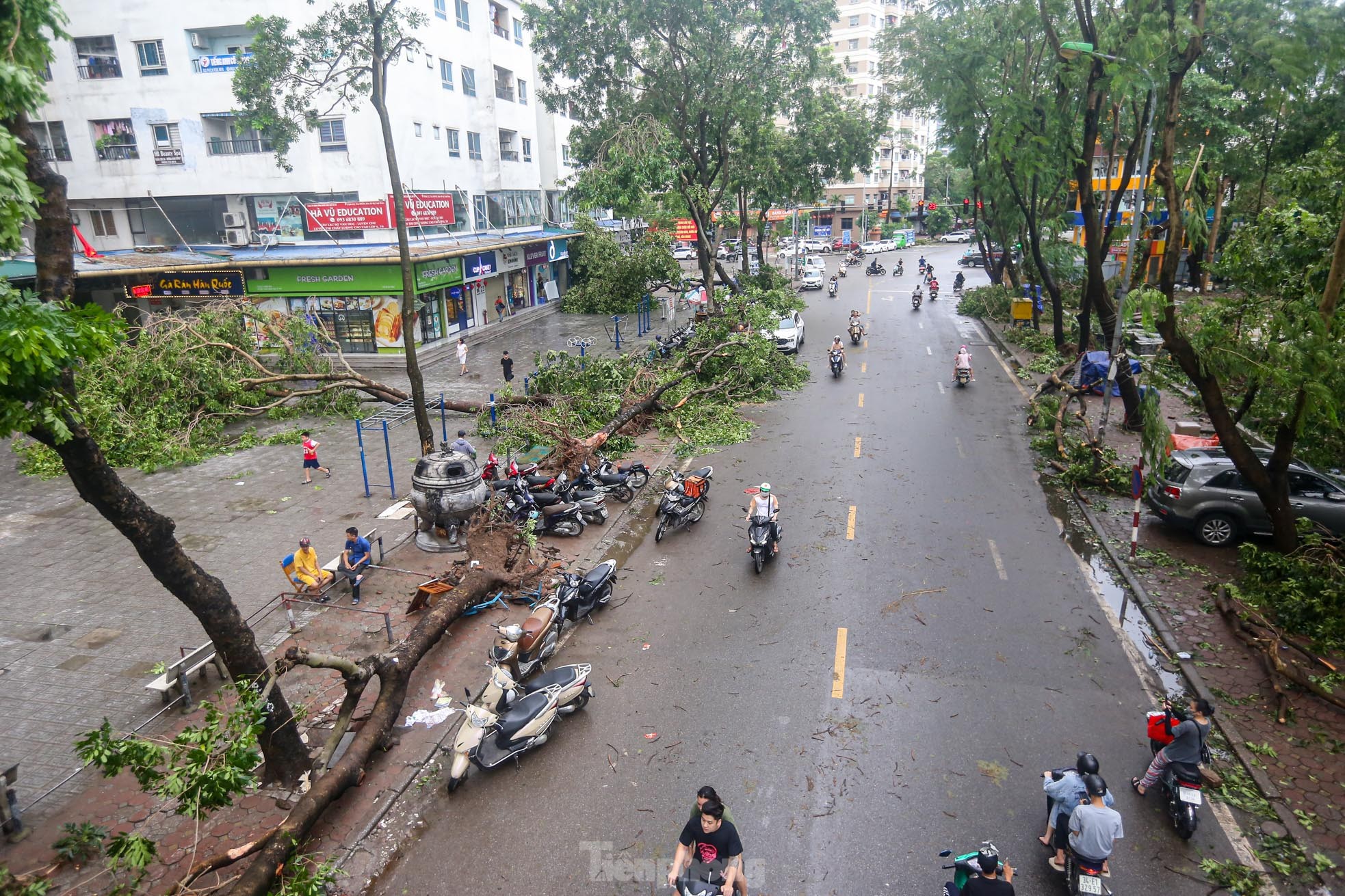 Khu đô thị đông dân nhất Thủ đô tan hoang sau bão Yagi, &quot;có nhà nhưng không có lối vào&quot; - Ảnh 1.