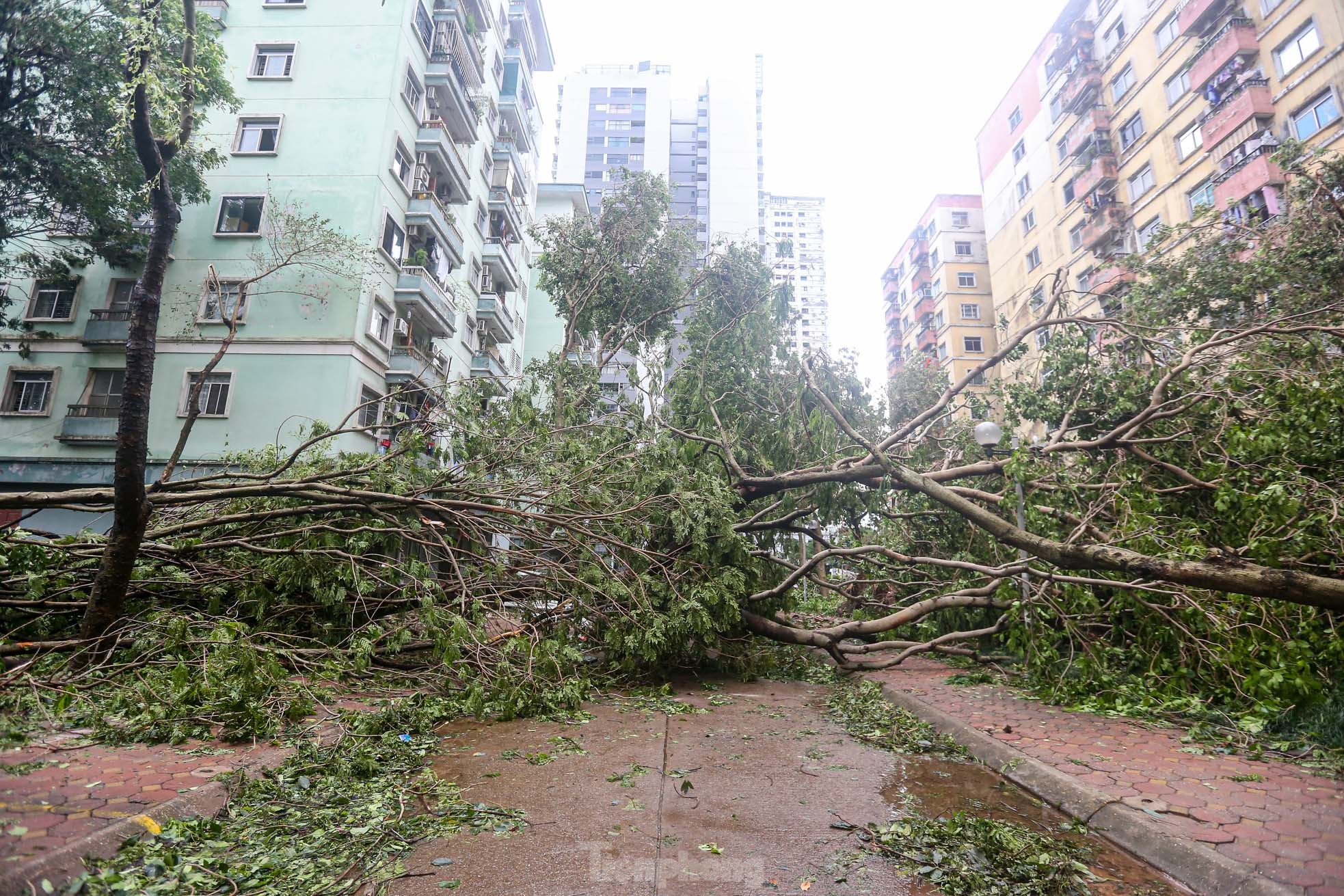 Khu đô thị đông dân nhất Thủ đô tan hoang sau bão Yagi, &quot;có nhà nhưng không có lối vào&quot; - Ảnh 17.