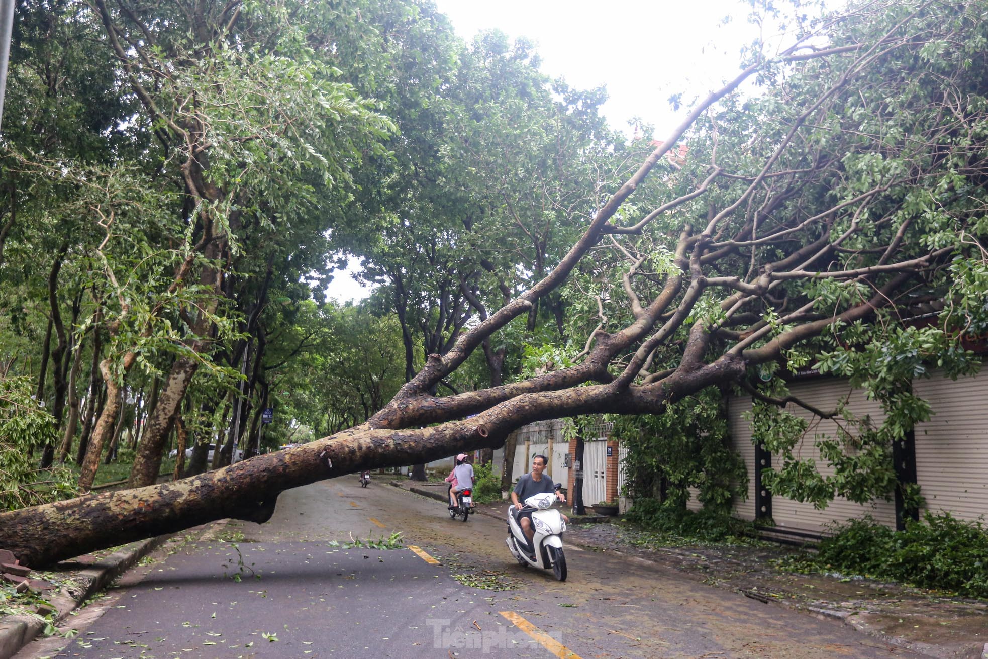 Khu đô thị đông dân nhất Thủ đô tan hoang sau bão Yagi, &quot;có nhà nhưng không có lối vào&quot; - Ảnh 30.