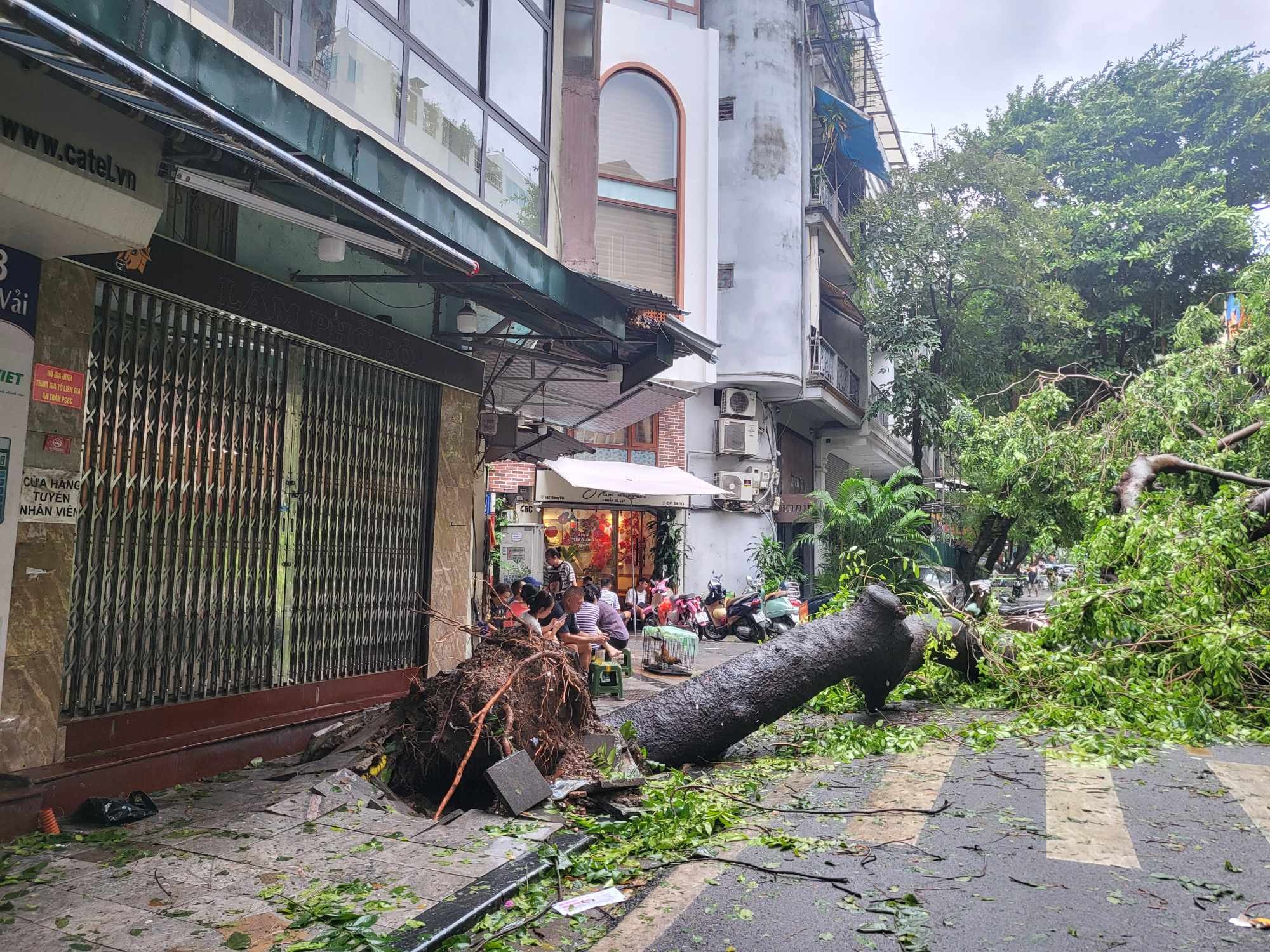 Tiếc nuối những &quot;cụ cây&quot; trăm tuổi bật gốc trong bão số 3 trên phố cổ Hà Nội- Ảnh 11.