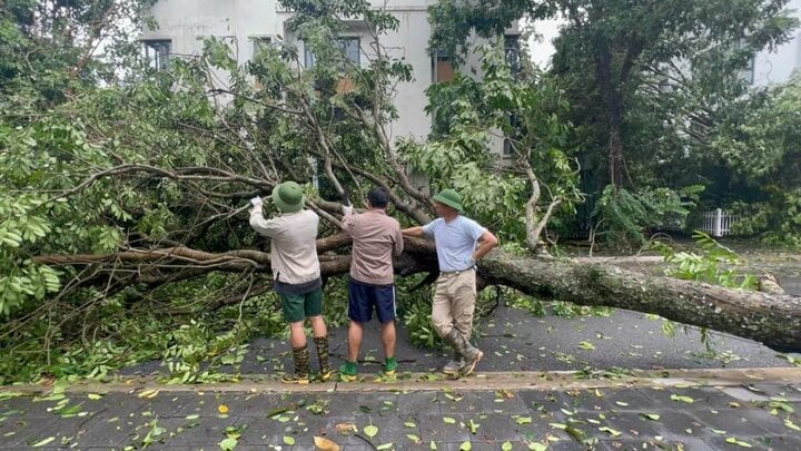 NSND Xuân Bắc cùng 2 con trai hỗ trợ dọn cây đổ trên phố sau bão Yagi - Ảnh 1.