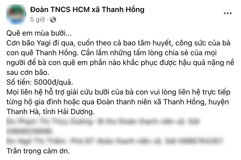 Dân tình khắp nơi kêu gọi giải cứu nông sản giúp đỡ bà con sau bão- Ảnh 4.