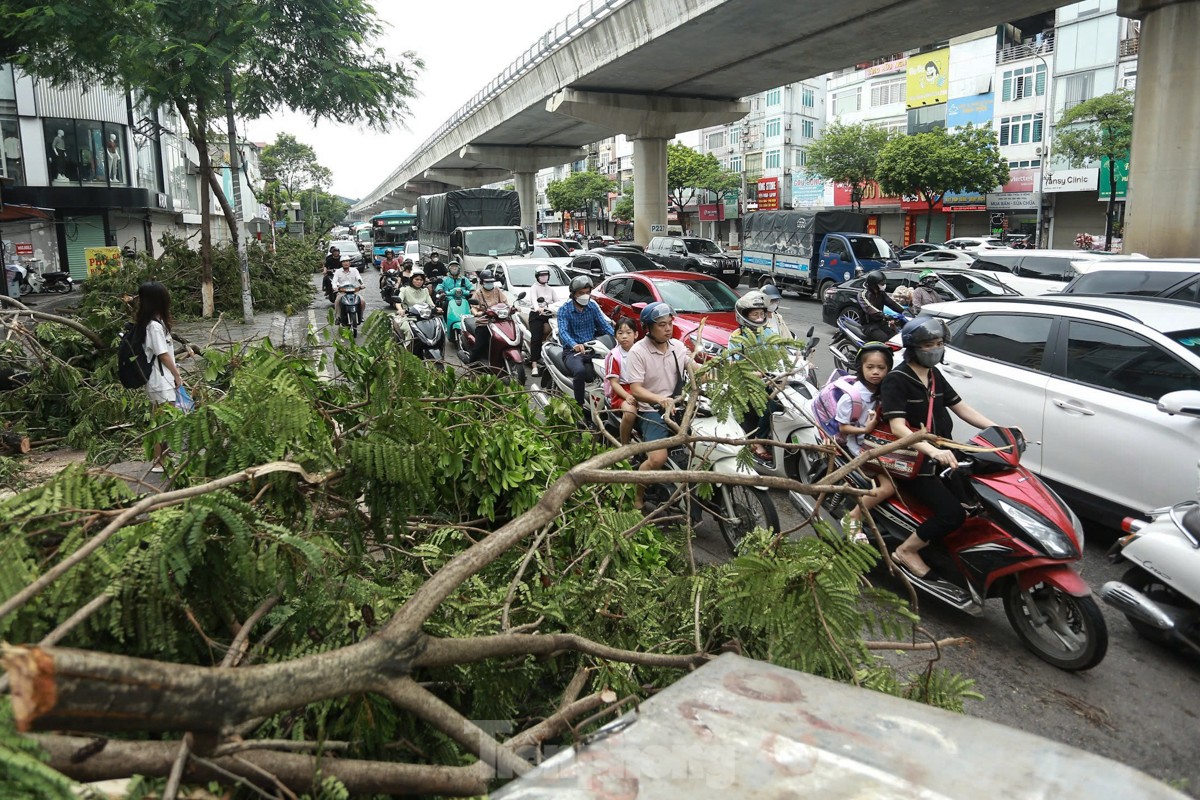 Đường phố Hà Nội vẫn ngổn ngang cây đổ, người dân &quot;vượt ải&quot; ùn tắc đến công sở- Ảnh 9.