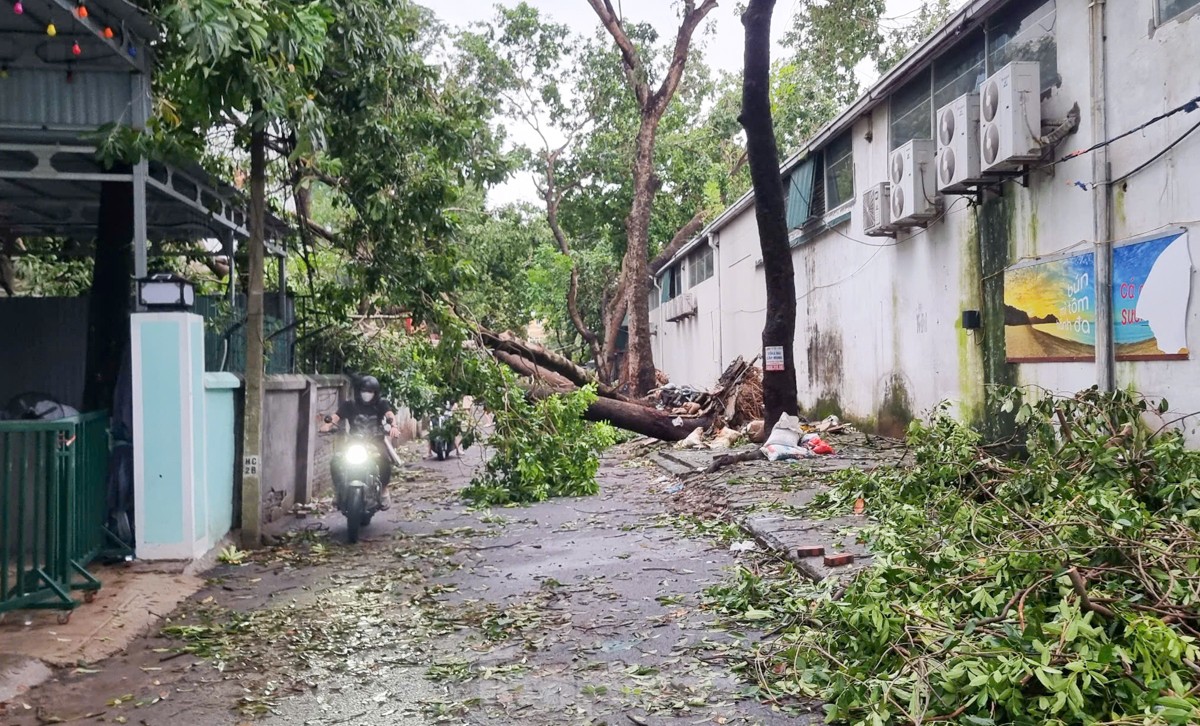 Đường phố Hà Nội vẫn ngổn ngang cây đổ, người dân &quot;vượt ải&quot; ùn tắc đến công sở- Ảnh 18.