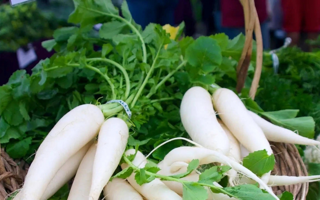 Củ cải có bộ phận