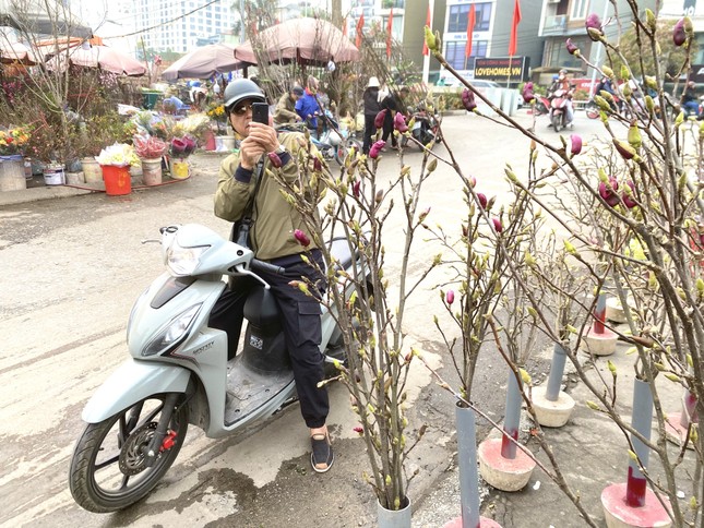 Xuất hiện loài hoa 'cạnh tranh' với đào, quất Tết năm nay - Ảnh 6.