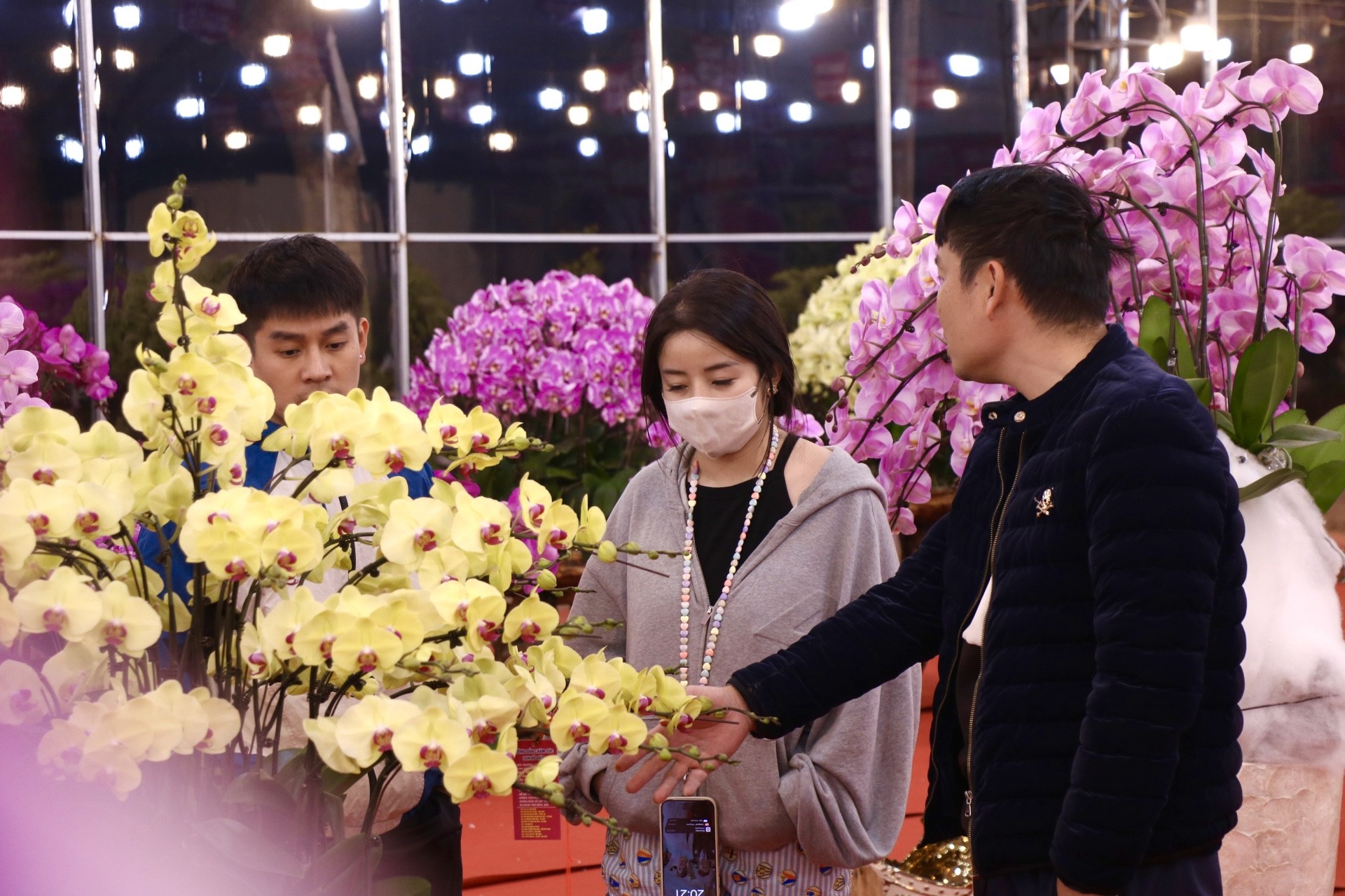 Lan hồ điệp tràn ngập Hà Nội - Ảnh 6. Lan hồ điệp tràn ngập Hà Nội - Ảnh 6.