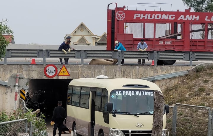 Phát hiện thi thể người đàn ông biến dạng trên cao tốc Hà Nội – Hải Phòng - Ảnh 2.