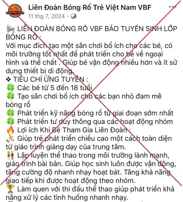 Đăng ký học bóng rổ cho con trên mạng, người phụ nữ ở Hà Nội bị lừa 1,1 tỷ đồng - Ảnh 1.