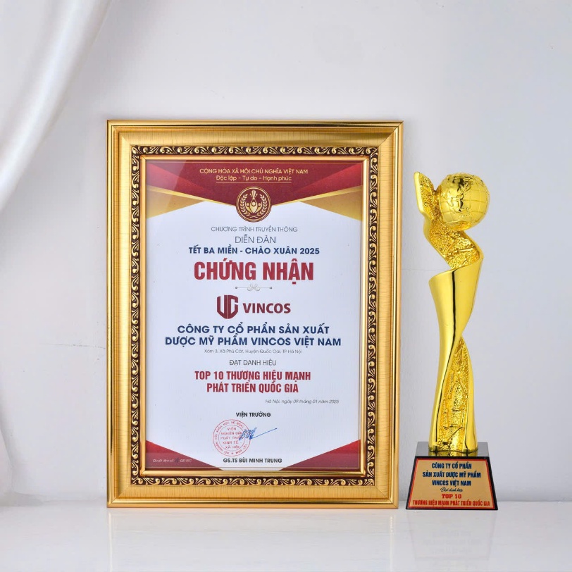VINCOS nhận c&uacute;p Top 10 thương hiệu mạnh ph&aacute;t triển Quốc gia - Ảnh 2.