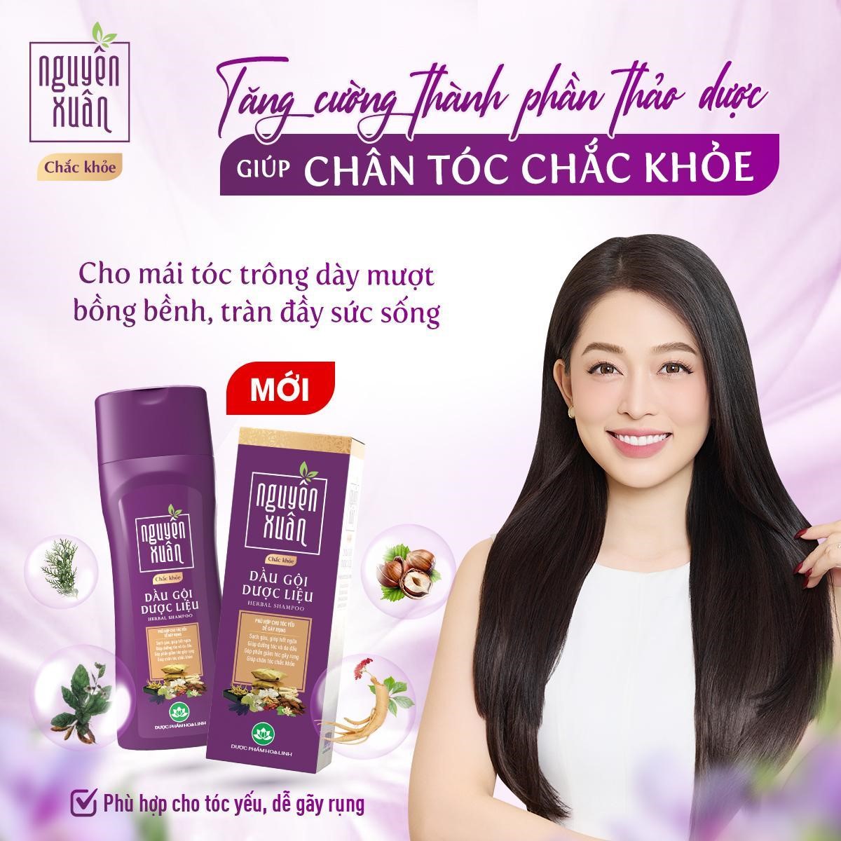 Dầu gội Nguyên Xuân Chắc Khoẻ - Giải pháp từ dược liệu cho tóc yếu, gãy rụng- Ảnh 2.