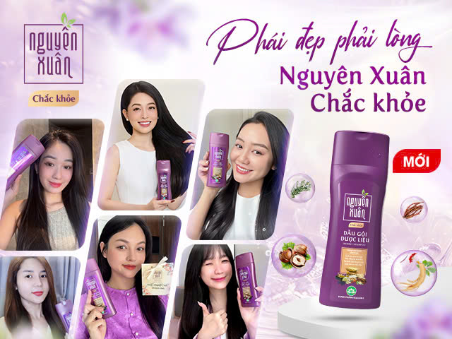 Dầu gội Nguyên Xuân Chắc Khoẻ - Giải pháp từ dược liệu cho tóc yếu, gãy rụng- Ảnh 3.