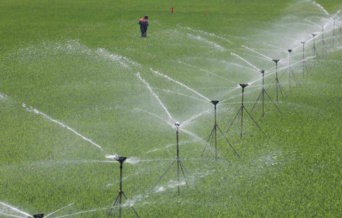 Giải mã lời dự đoán dân gian "7 rồng trị thủy, 4 trâu cày ruộng, 9 người chia bánh" cho năm Ất Tỵ 2025 - Ảnh 4.