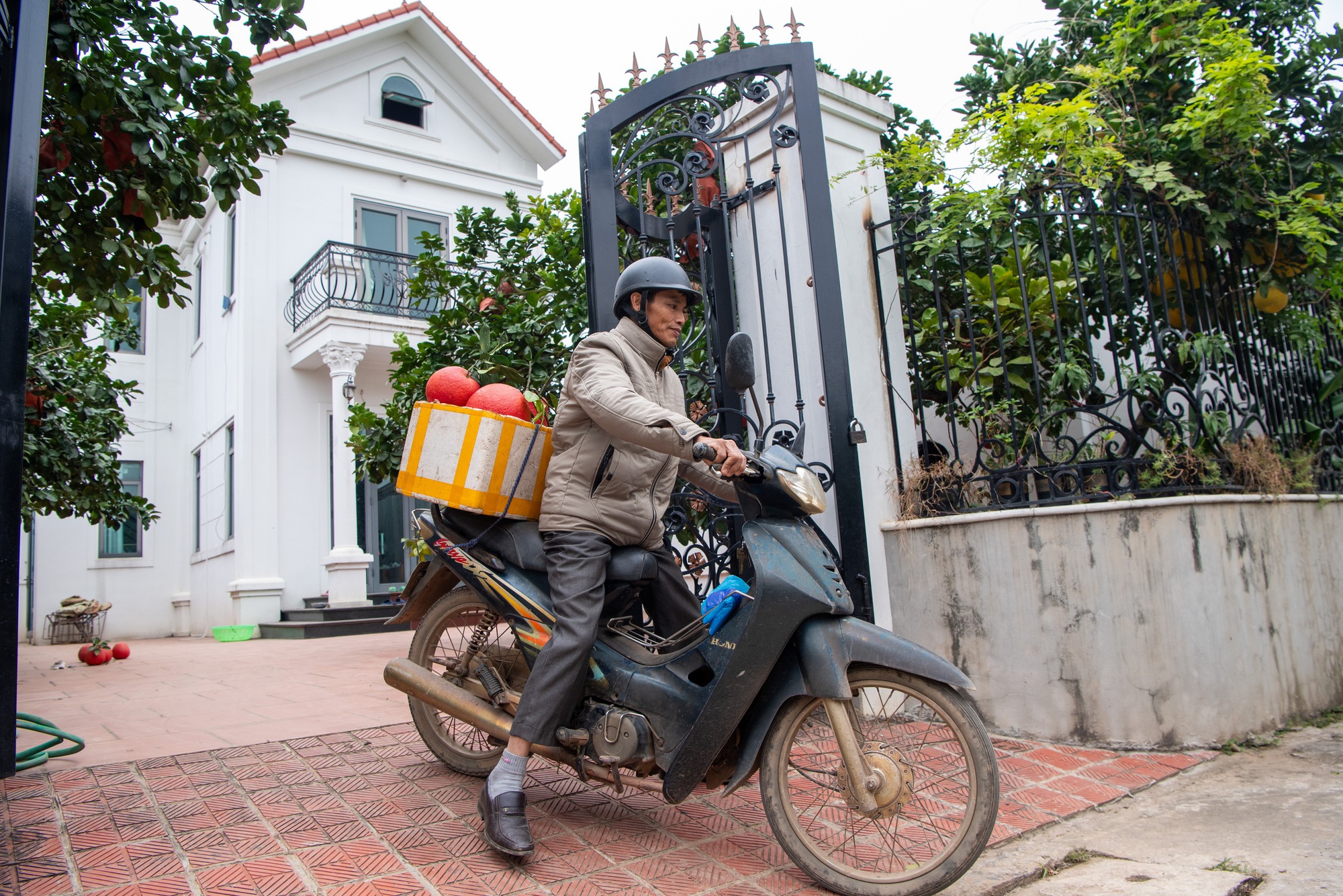 Một loại quả bị đồn 