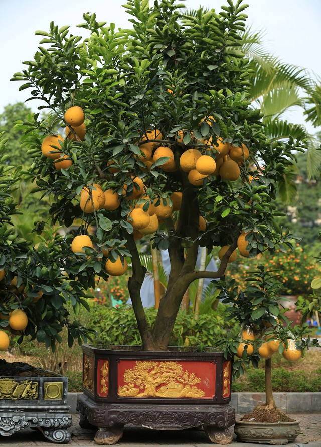 Kh&ocirc;ng kh&iacute; Tết tr&agrave;n ngập phố phường H&agrave; Nội: Ảnh hưởng của b&atilde;o nhưng 1 điều vẫn kh&ocirc;ng hề thay đổi với năm trước - Ảnh 14.