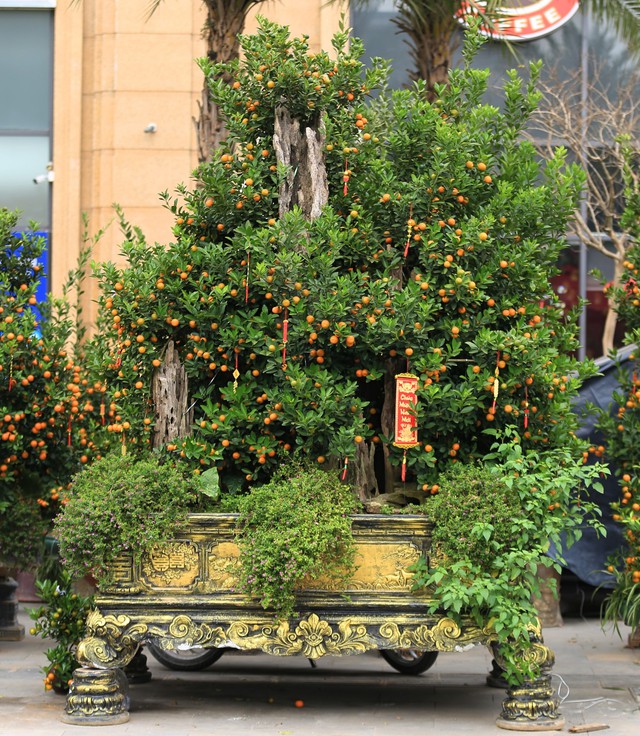 Kh&ocirc;ng kh&iacute; Tết tr&agrave;n ngập phố phường H&agrave; Nội: Ảnh hưởng của b&atilde;o nhưng 1 điều vẫn kh&ocirc;ng hề thay đổi với năm trước - Ảnh 6.