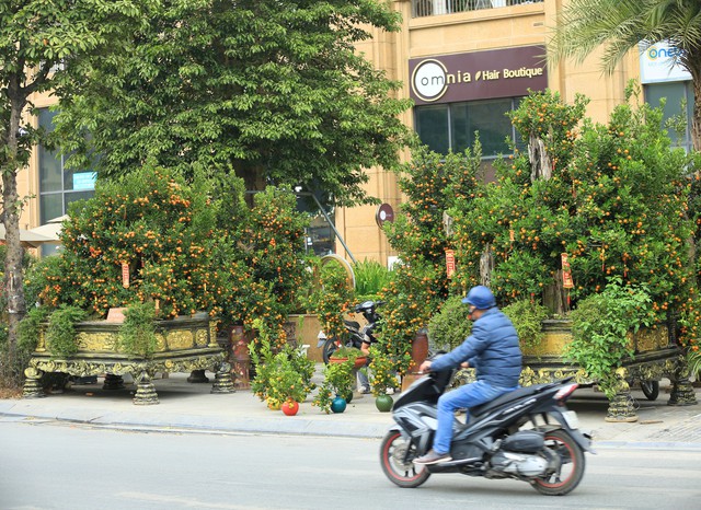 Kh&ocirc;ng kh&iacute; Tết tr&agrave;n ngập phố phường H&agrave; Nội: Ảnh hưởng của b&atilde;o nhưng 1 điều vẫn kh&ocirc;ng hề thay đổi với năm trước - Ảnh 4.