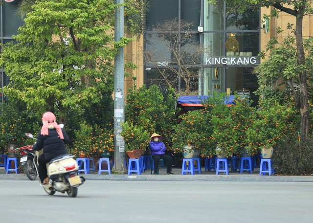 Kh&ocirc;ng kh&iacute; Tết tr&agrave;n ngập phố phường H&agrave; Nội: Ảnh hưởng của b&atilde;o nhưng 1 điều vẫn kh&ocirc;ng hề thay đổi với năm trước - Ảnh 7.